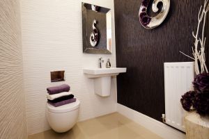 chestnut shadwell 10 sm.jpg